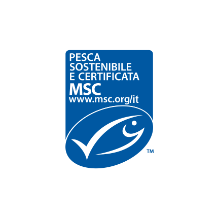 MSC